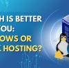 Windows or Linux Hosting blog